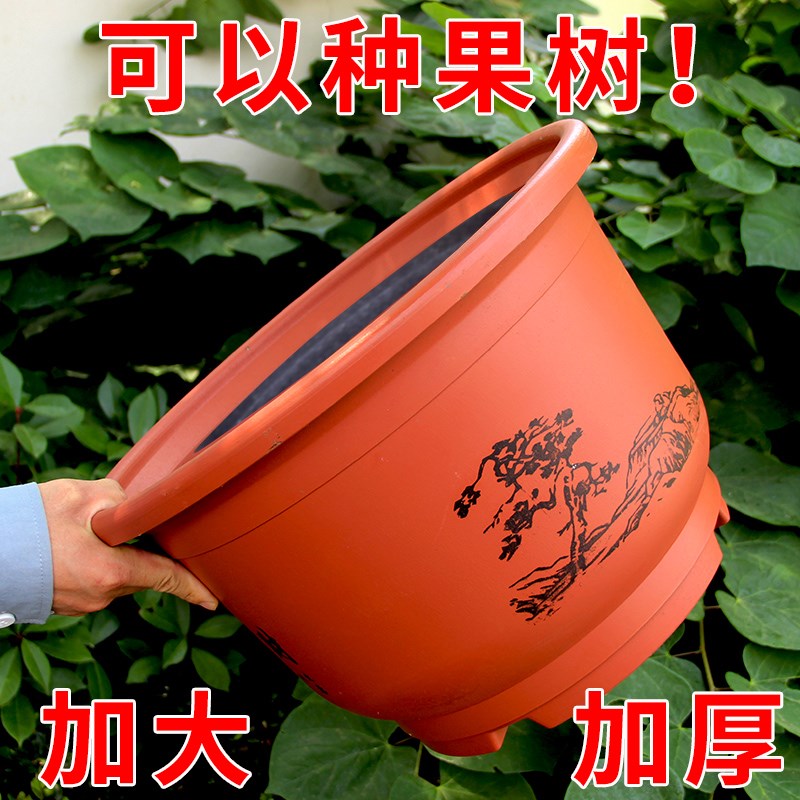 花盆大号加厚树脂仿陶瓷家用种果树阳台绿萝吊兰多肉花卉种植花盆