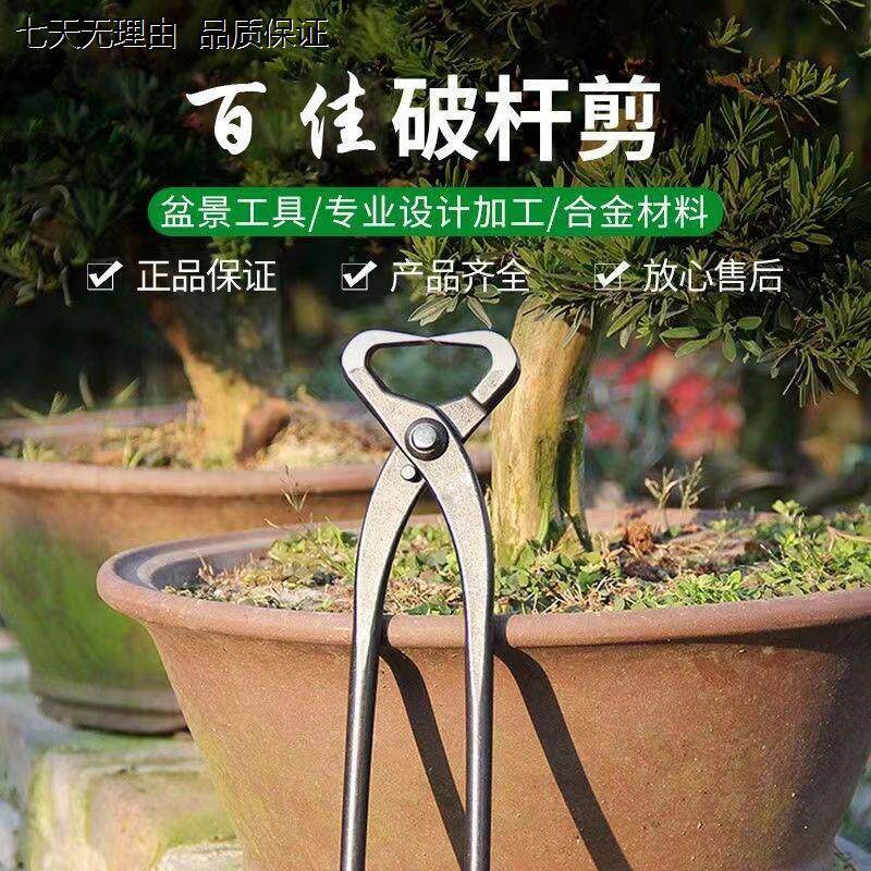 盆景工具破杆剪盆栽修枝器造型全套球形制作破杆钳耐用嫁接 清仓