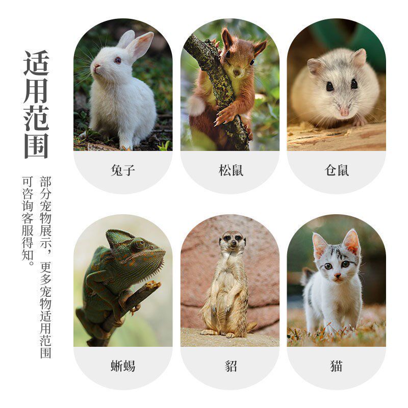 加密松鼠笼三层花枝鼠别墅猫笼子家用大号雪貂笼宠物鹦鹉鸟笼子