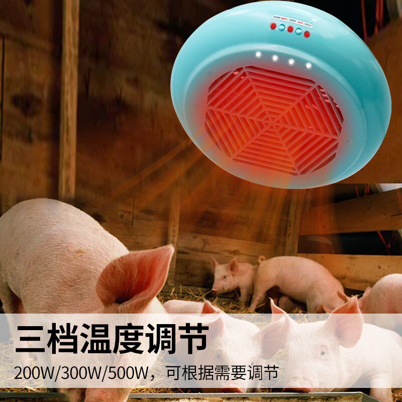 兽用暖风保温灯养殖场用暖风灯宠物取暖小鸡仔猪育雏温控加热灯