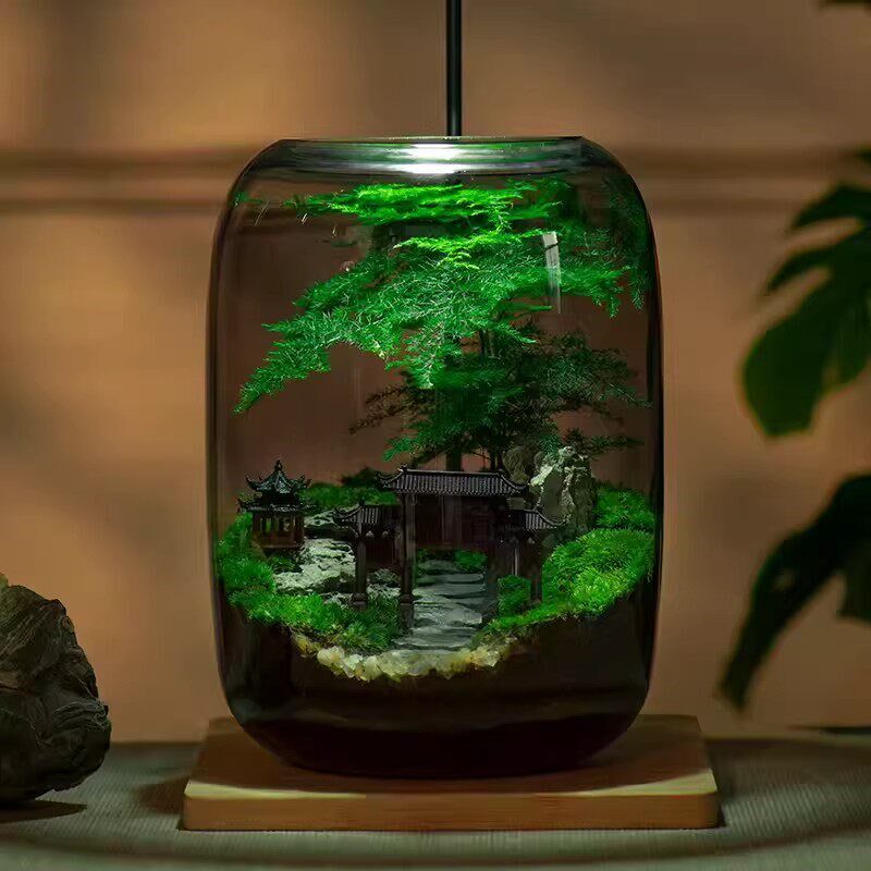 桌面苔藓微景观生态瓶造景植物雨林创意小摆件森林玻璃养鱼生态缸