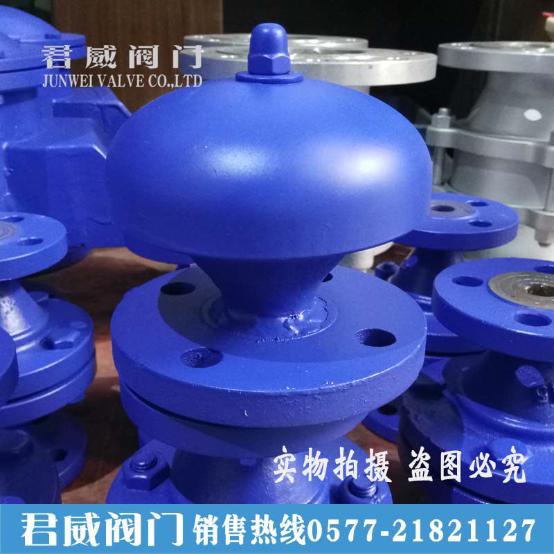 FZT型 铸钢阻火通气帽 法兰阻火透气帽DN50 25 100 80君威阀门