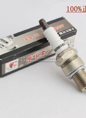适用别克赛欧1.6火花塞雪佛兰赛欧1.2 1.4点火嘴 专用火花塞 火炬