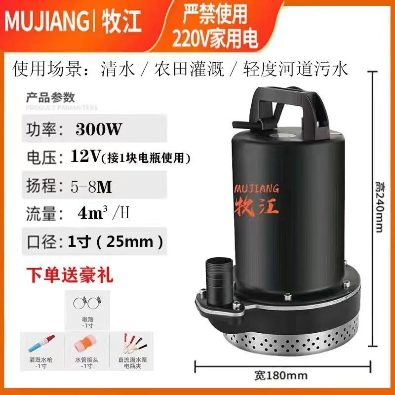 德国进口直流电瓶车污水泵12V48V60V72V农田灌溉浇菜抽水机电车潜