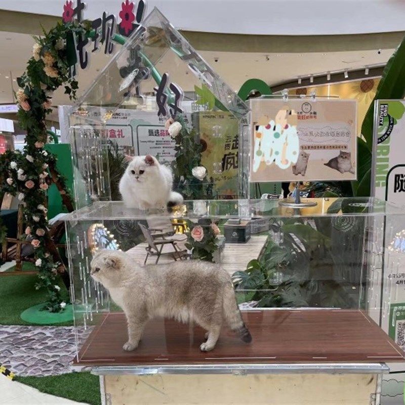 亚克力猫赛笼赛猫笼猫咪展示笼亚克力猫屋猫窝封闭带门猫窝