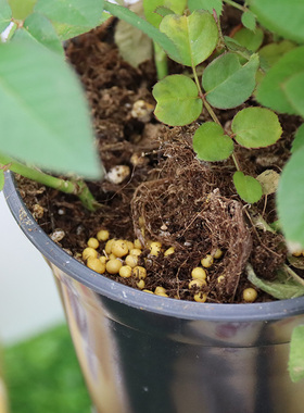 奥绿1号5号A2/318s/315s颗粒缓释肥通用多肉植物盆栽月季兰花卉肥