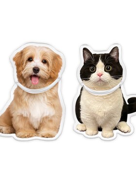 宠物猫咪摇头桌面摆件定制摇头晃脑汽车狗狗摇摇乐可爱网红治癒系