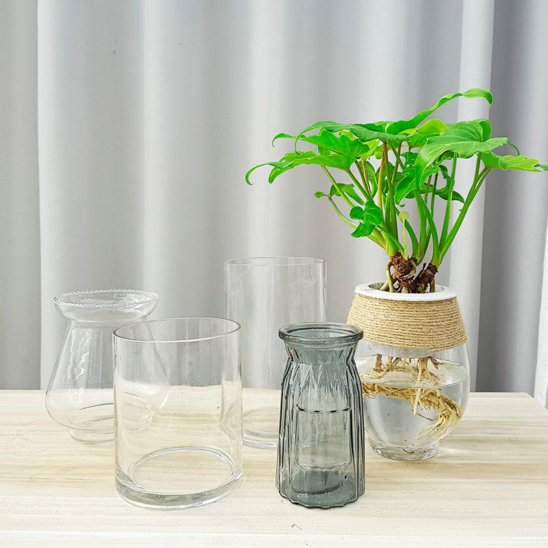 花名堂创意简约透明水培植物玻璃花瓶绿萝器皿水养容器花盆