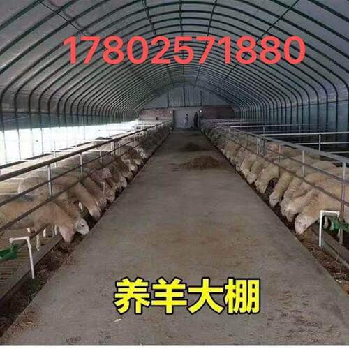 蔬菜种植大棚养殖大棚全套养鸡鹅猪牛羊养殖专用温室大棚大棚骨架
