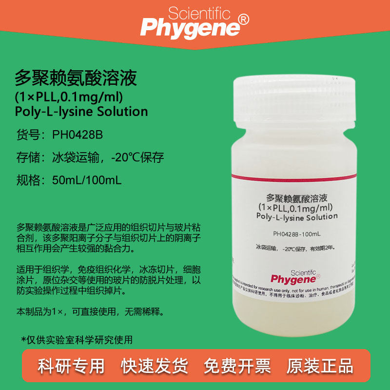 多聚赖氨酸溶液 (1) 多聚-L-赖氨酸 切片玻片包被液粘合剂实验