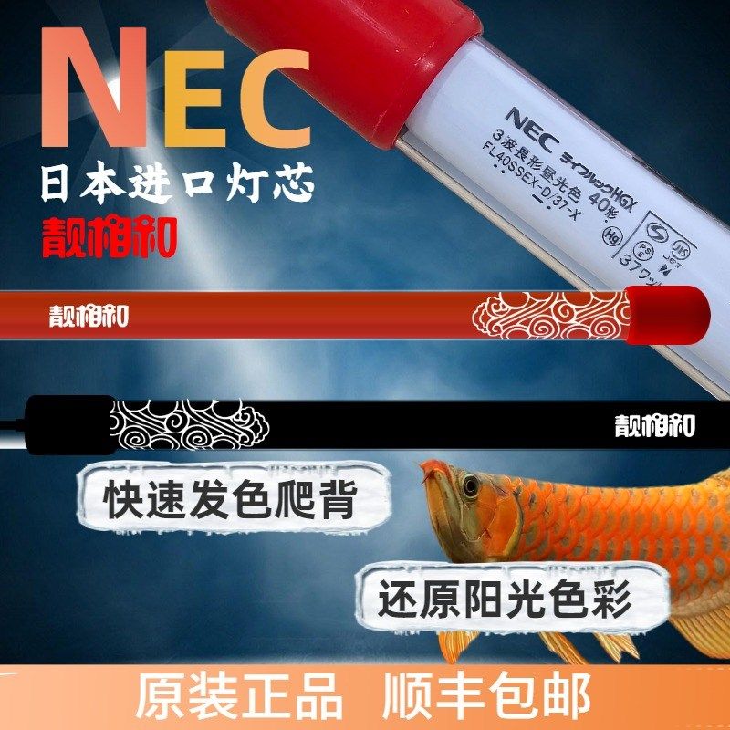 靓相和NEC龙鱼专用鱼缸灯管金红龙增艳发色观赏烤色6700K防潜水灯
