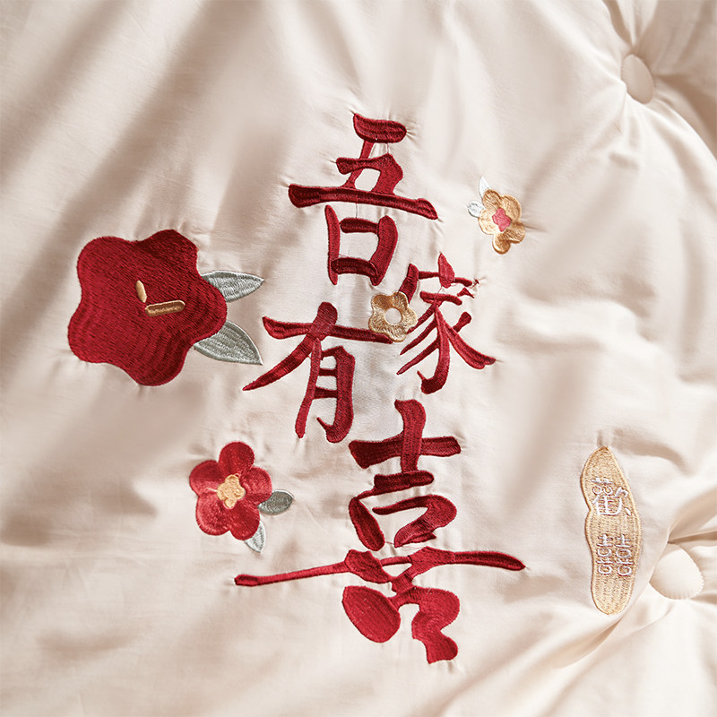 大豆纤维红色婚庆被芯夏凉被新婚喜被春秋女方陪嫁冬被加厚结婚礼