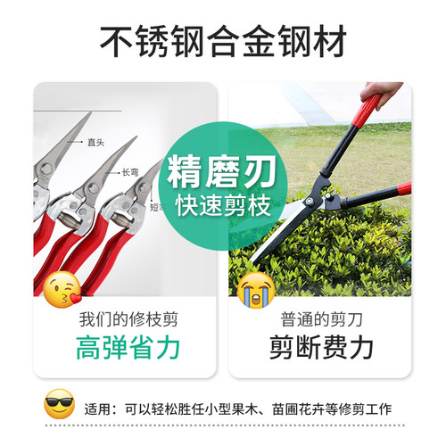 园艺剪刀花艺剪家用绿植花枝剪果树多功能树枝剪工具园林修枝剪