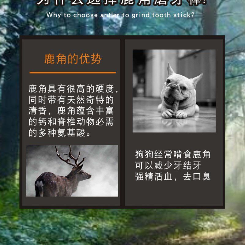 狗零食柯基法斗英斗巴哥柯基磨牙棒骨头耐咬补钙鹿角幼犬洁齿玩具