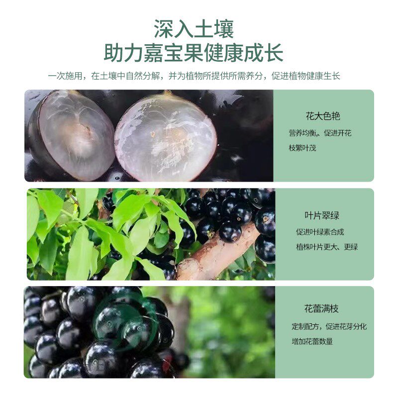 嘉宝果专用肥料树葡萄缓释肥催花复合颗粒营养有机肥果树珍宝促果
