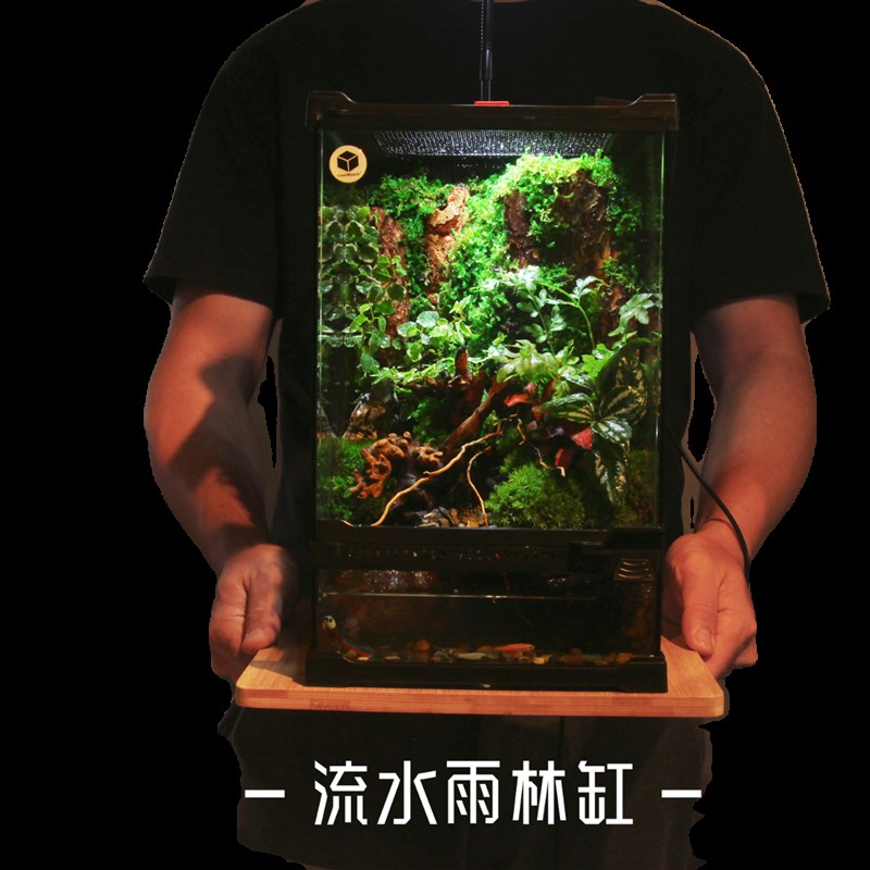 创意微景观生态瓶雨林缸水陆两栖生态缸造景种好发货免打理饲养箱