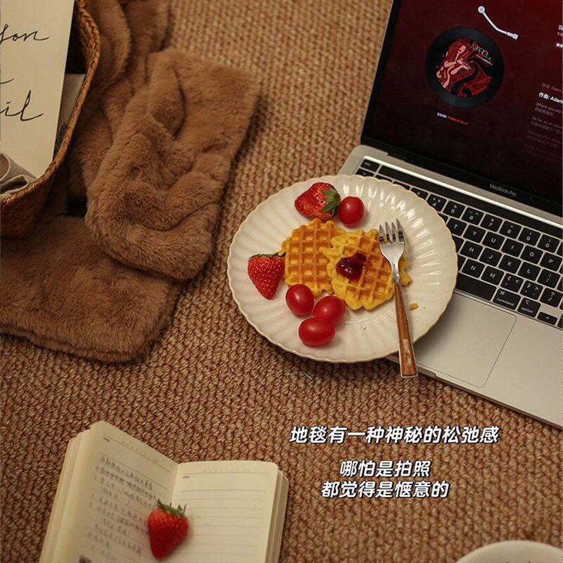 工作室照片特殊背景布地毯客厅防污防水地板垫彷剑麻商业工作室地