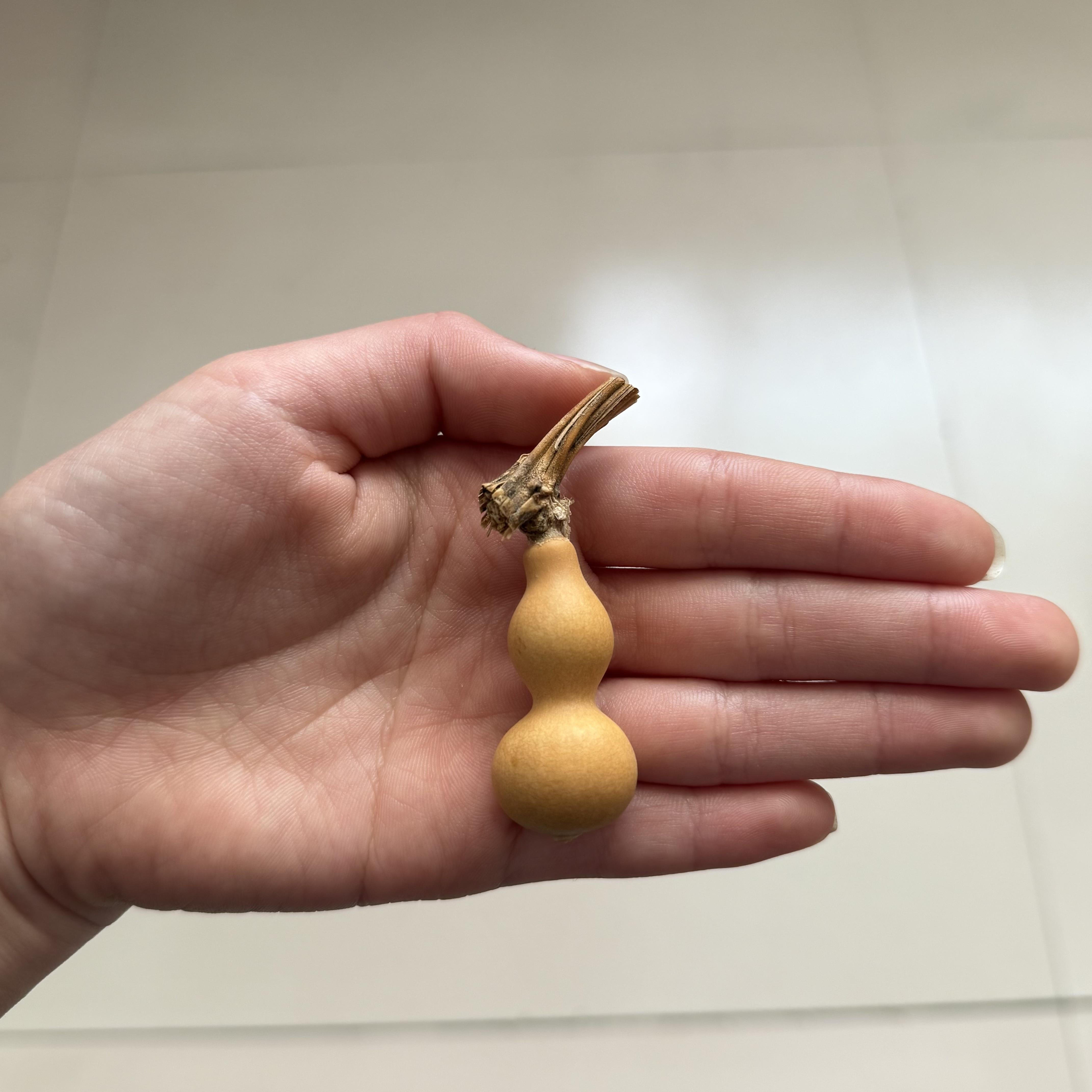 草里金小葫芦一物一图文玩手捻小葫芦天然葫芦手把件特小