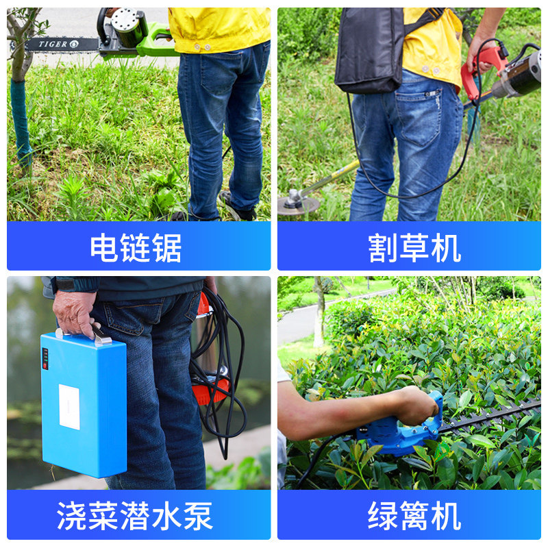 园林工具割草机绿篱机电瓶锂电池12V24v48v充电式锂电池便携电池