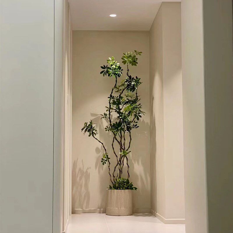造型鸭脚木八方来财室内办公室吸甲醛净化空气真花好养活大型绿植
