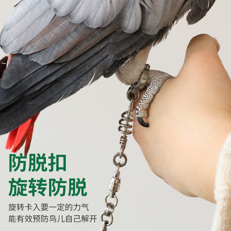 中大型灰机鹦鹉专用不锈钢脚链脚环不伤脚活扣超轻可拆卸免费刻字