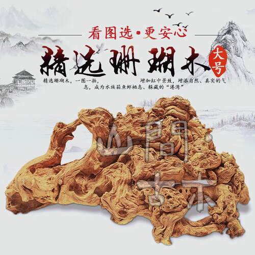 水沉木金丝红木根雕根艺天然树根鱼缸造景珊瑚木紫柚木自然原木龟