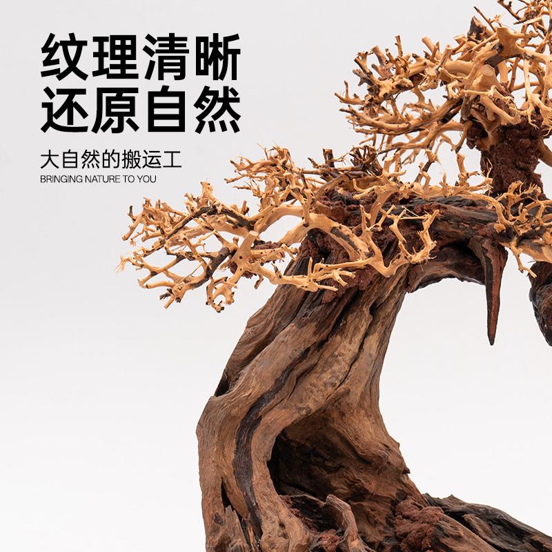 莫斯树成品鱼缸造景沉木迎客松树形骨架草缸水草水榕造景树巴西树