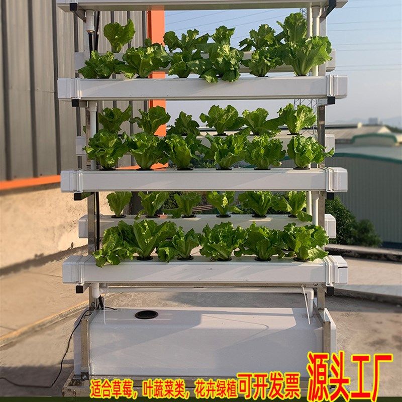 NFT无土栽培蔬菜草莓种植双面垂直架水培设备阳台水耕多层种菜机