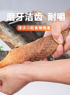 冻干三文鱼皮肉零食狗狗磨牙洁齿猫营养增肥美毛鱼油泰迪中小型犬