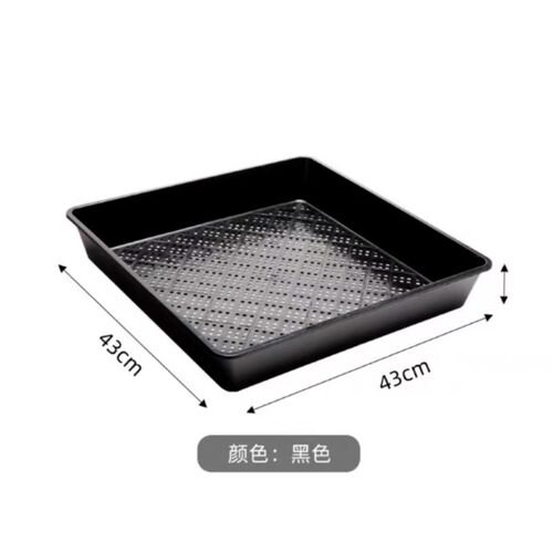 【加厚多功能育苗盘】塑料多肉育苗盘加厚叶插盆播种器育苗托盘