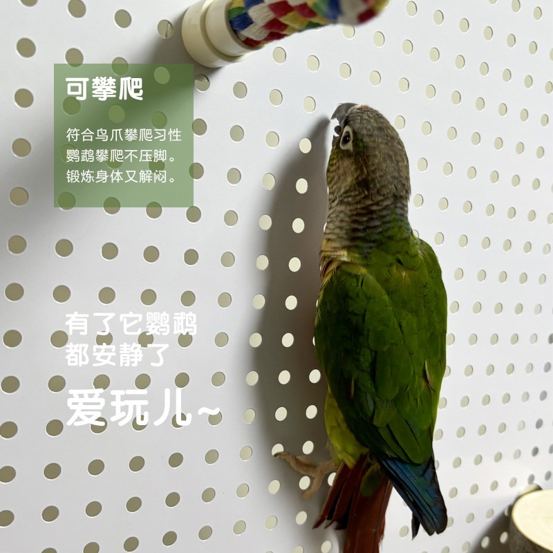 【加宽】防溅粮鹦鹉栖息站架可移动移动大型鹦鹉站架中小鹦鹉鸟笼