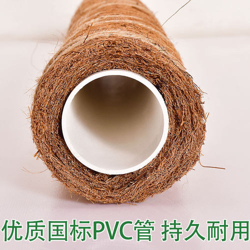 拼接大叶绿萝专用椰棕棒 攀爬植物支撑杆绿植园艺花架 天然椰丝棕