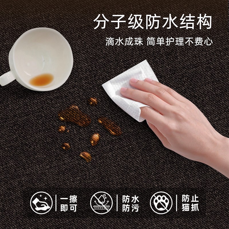 客厅地毯防水防污黑色高级感沙发茶几免洗耐脏地垫满铺卧室床边毯