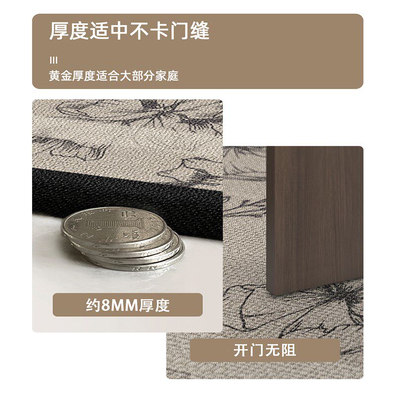入户门地垫轻奢简约家用门垫门厅大门脚踏垫脚垫子可擦洗耐脏地毯