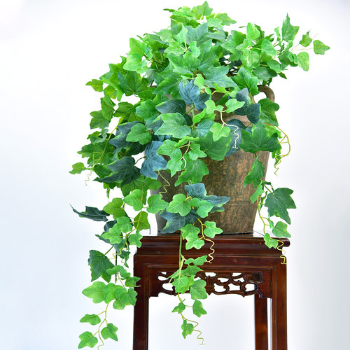 仿真常春藤假绿植客厅墙壁挂花藤条装饰塑料植物吊兰门头叶子摆设