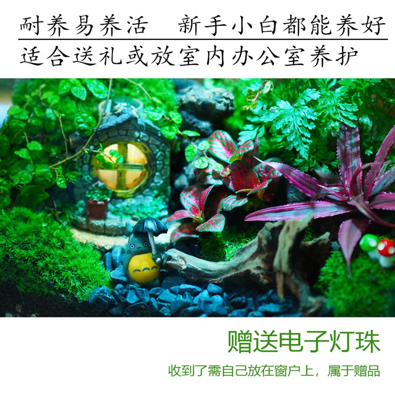 苔藓微景观生态造景办公桌面床头装饰龙猫小屋带灯珠创意摆件盆栽
