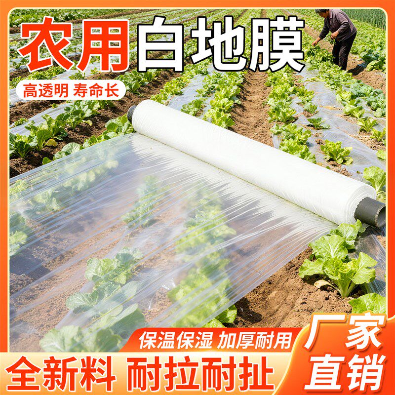 白地膜农用种植种菜专用薄膜胶带保护膜一次性覆盖菜地膜耐磨加厚
