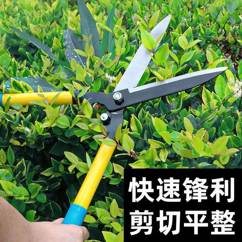 园艺修枝剪修绿化草坪绿篱剪大花剪园林剪枝工具修剪树枝专用剪刀