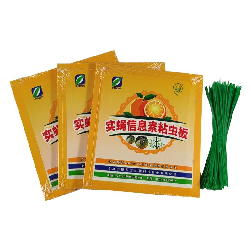 果蝇贴昆虫信息素粘虫板双面黄板果园实蝇粘胶板农用诱虫针蜂贴