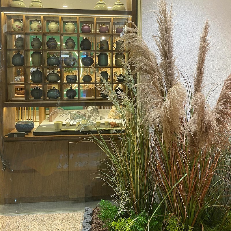 天然网红芦苇干花室内绿植景观造景商场橱窗植物摆件北欧落地盆栽