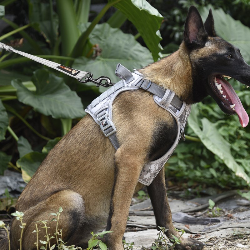 狗狗牵引绳中大型犬狗绳子 金毛 柯基 法斗 防爆冲伸缩遛狗绳狗链