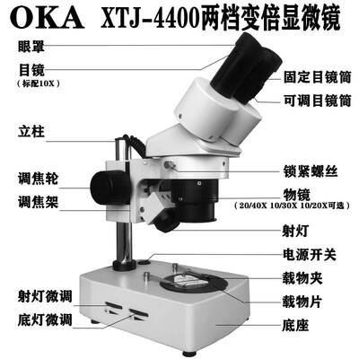OKA奥卡光学XTJ-4400两档变倍体视显微镜10X20X30X40X定倍放大镜