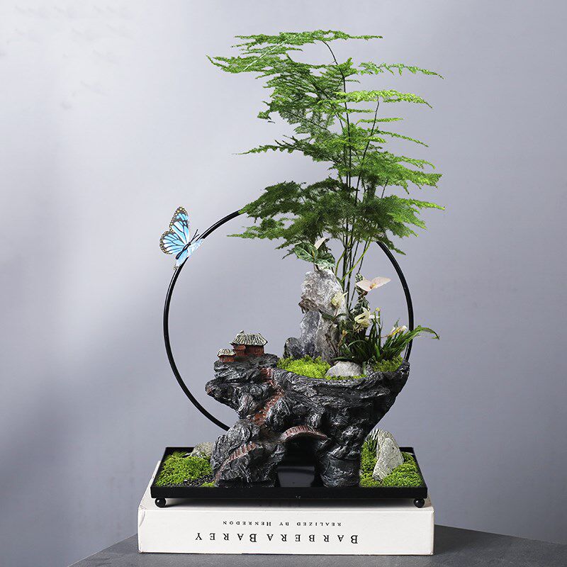 铁艺悬挂式创意植物蝴蝶兰盆摆件文竹铁树花盆悬浮微景观家居盆景