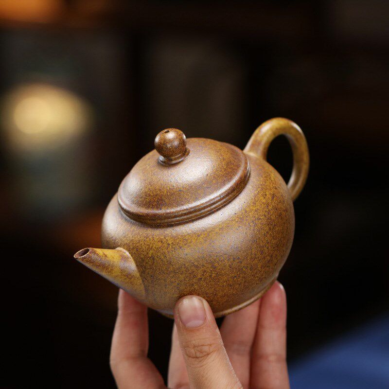 宜兴紫砂壶纯手工国工紫砂茶具原矿本山段泥家用泡茶壶柴烧水平壶