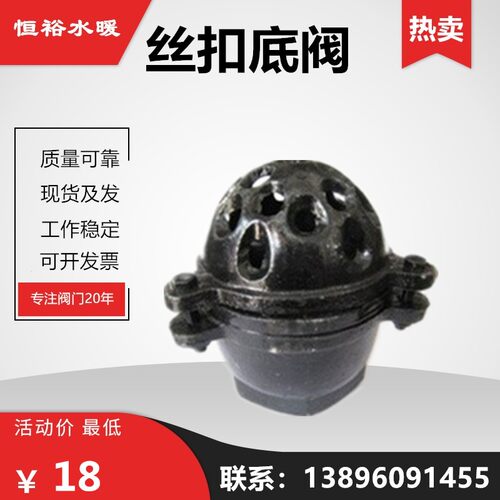 铸铁丝扣底阀H12X升降式内螺纹止回单向阀水泵吸水莲蓬头2寸50