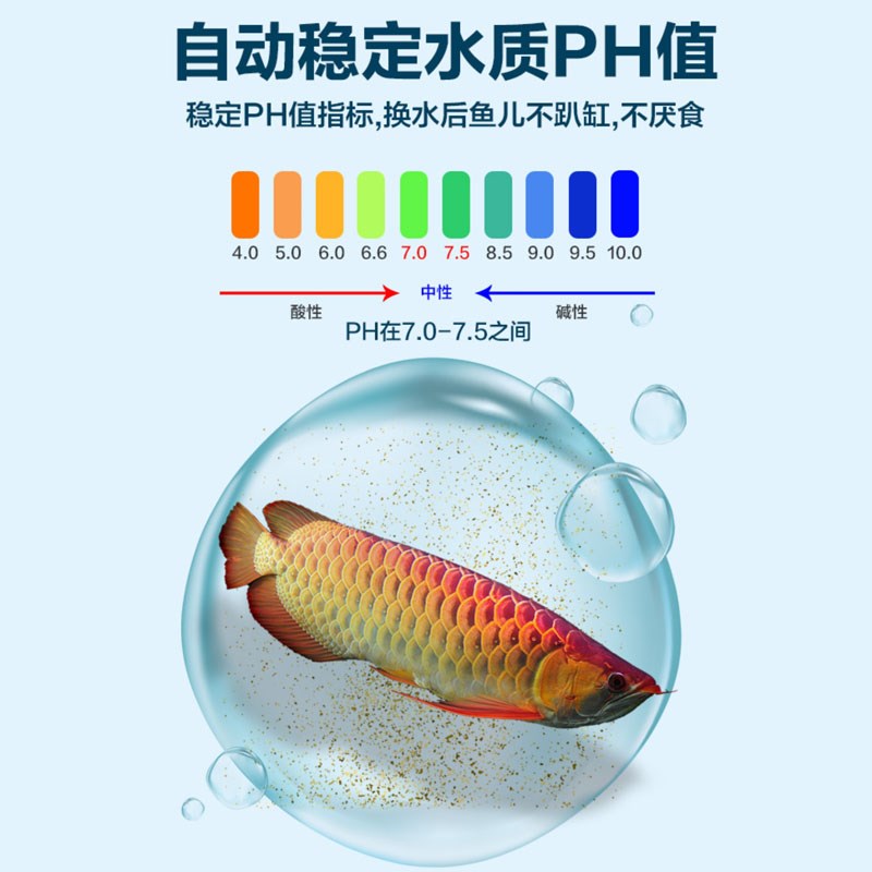 水质稳定剂鱼缸专用除氯剂水族自来水除氯水安定剂养鱼用品净化剂