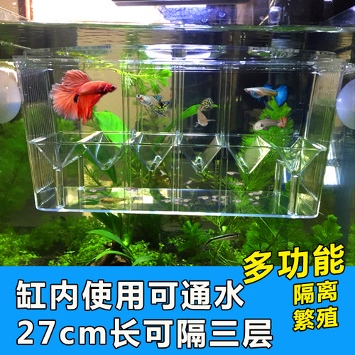 繁殖缸鱼苗孵化盒斗鱼隔离孔雀鱼繁殖鱼缸孵化热带鱼幼鱼产房特大