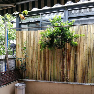 竹篱笆栅栏户外防腐竹竹杆围墙围栏室外庭院隔断屏风紫竹竿竹帘