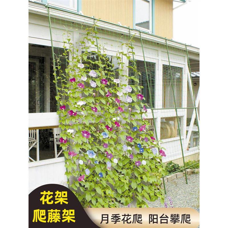 百香果爬藤网花架子室外庭院种植网黄瓜果爬藤植物果蔬铁艺爬藤架