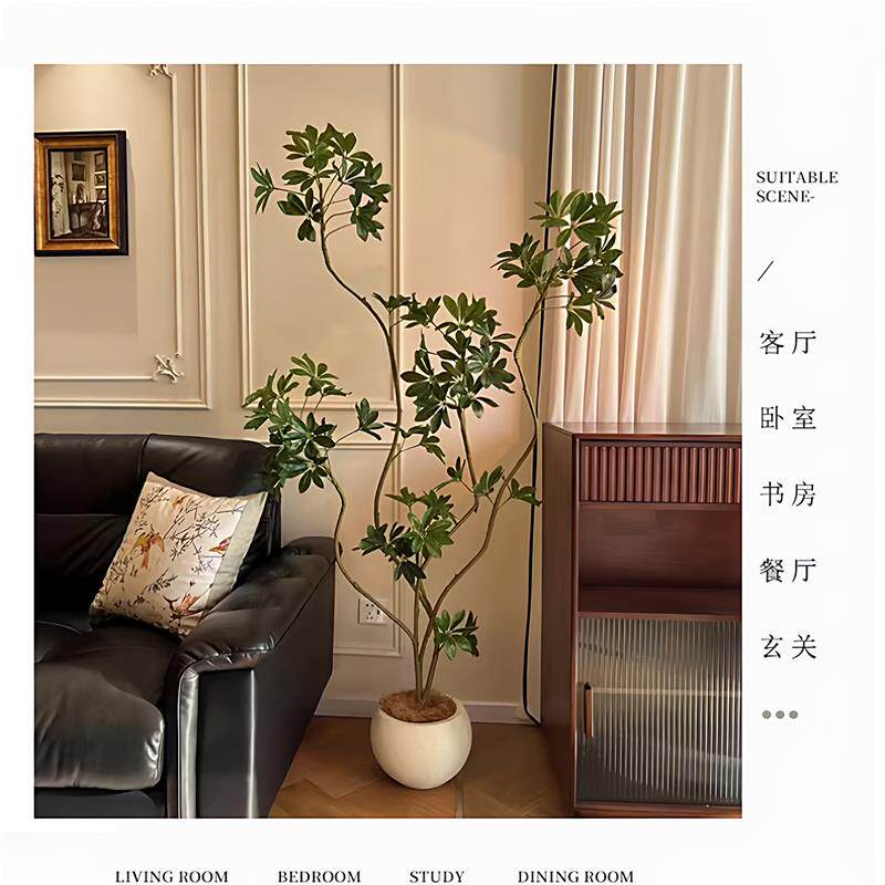鸭脚木盆栽室内观叶植物丛生好养活净化空气绿植新手适用办公室